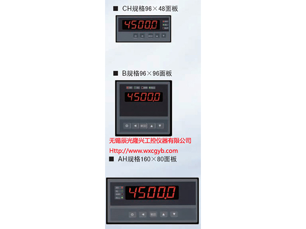 单通道热工仪表XSE