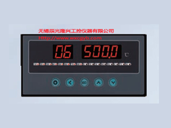 8路温度巡检仪XSL8